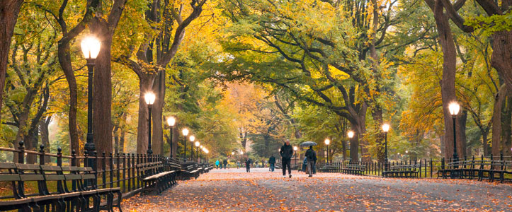 Central Park