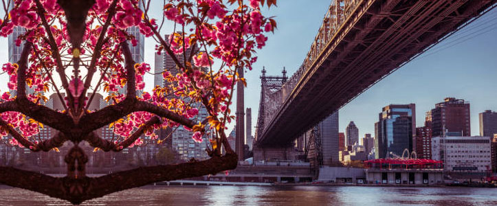 New York en Mayo